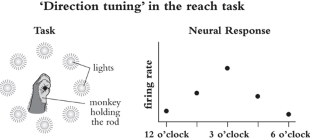 Diagram of the reach task: a monkey holding a rod surrounded by eight lights, beside a plot of firing rate against target direction.
