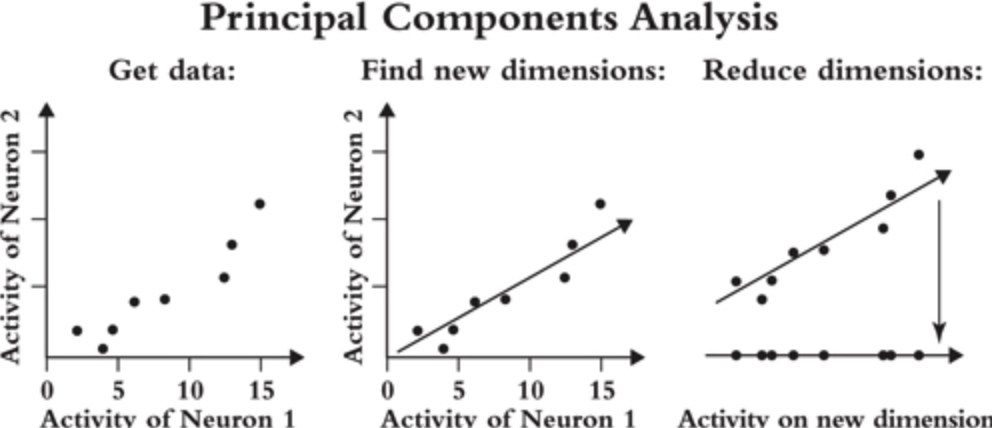 Three panels of principal components analysis: raw activity of two neurons, a fitted new axis, and the data projected down onto that single dimension.